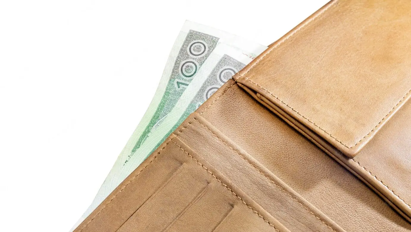 leather-wallet-banknotes-100-zloty-polish-money-white-background_131301-607